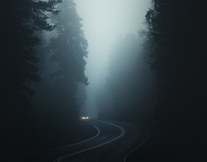 Роботы-пылесосы до 30 000 рублей: что взять за эти деньги