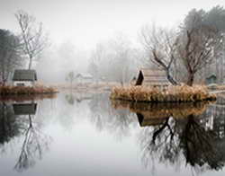В Екатеринбурге открыли неделю падела и анонсировали детскую академию