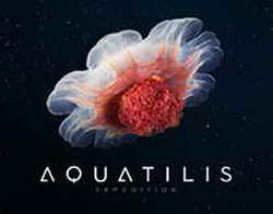 В российском городе отменили занятия в школах после атаки беспилотников