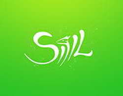 Четвёртый жребий. Как помещица Мельгунова стала св. Александрой Дивеевской